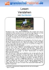Weißstorch - Sachtext.pdf
